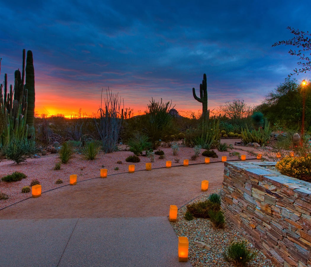Sonoran Sippin 1